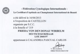 Certificado de actitud de campeonato (C.A.C.I.B) Castellón 2013